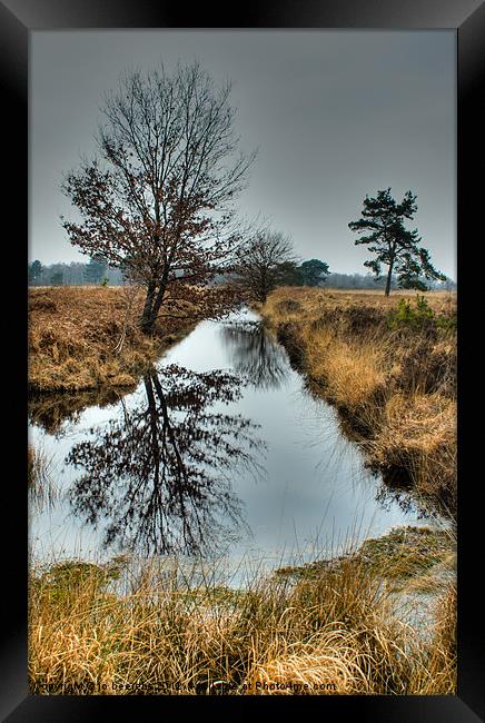 on a grey day Framed Print by Jo Beerens