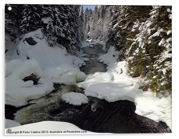 Falls in the River Acrylic by Peter Castine