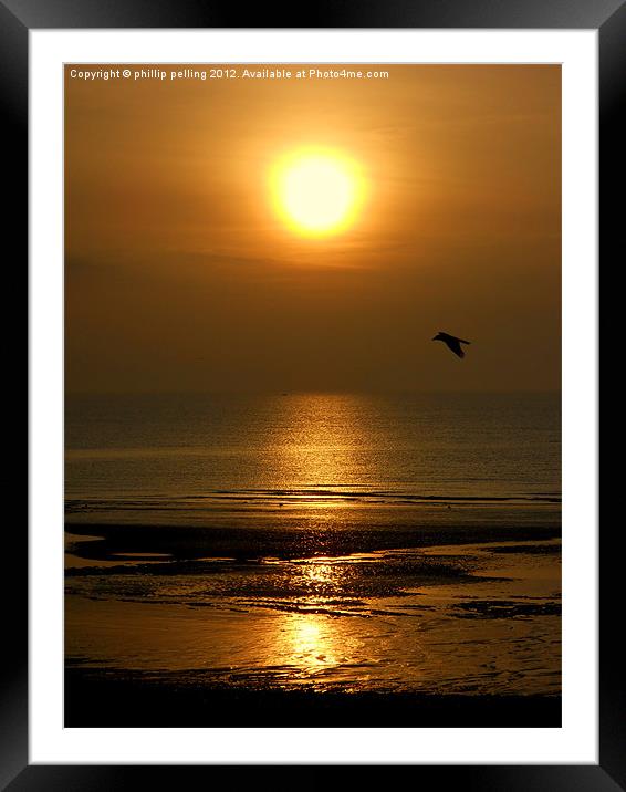 Sunrise Flight Framed Mounted Print by camera man