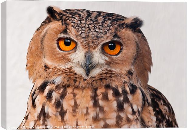 Savigny's Eagle Owl. (Bubo Ascalaphus) Canvas Print by Steve Liptrot