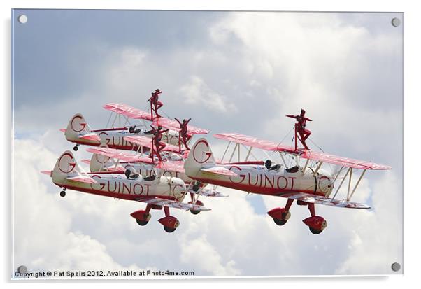 Formation Wingwalkers Acrylic by Pat Speirs