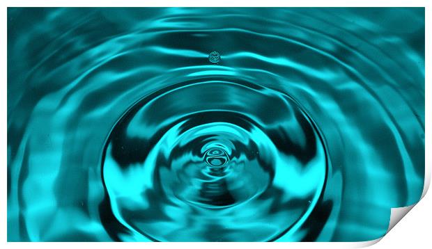 Water Droplet Print by Robert Rackham