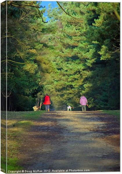 Walk in the woods Canvas Print by Doug McRae