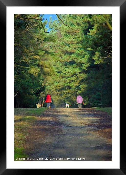 Walk in the woods Framed Mounted Print by Doug McRae