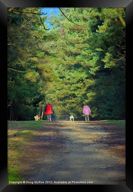 Walk in the woods Framed Print by Doug McRae