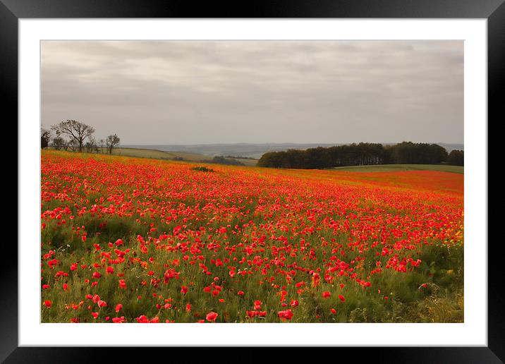 Poppy Field Framed Mounted Print by Val Saxby LRPS