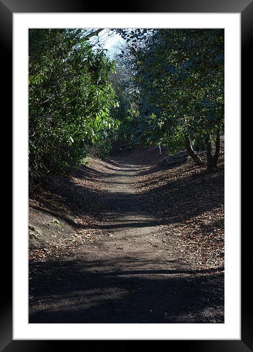 Woodland Path at Beaumont Park Framed Mounted Print by Paul Oakes