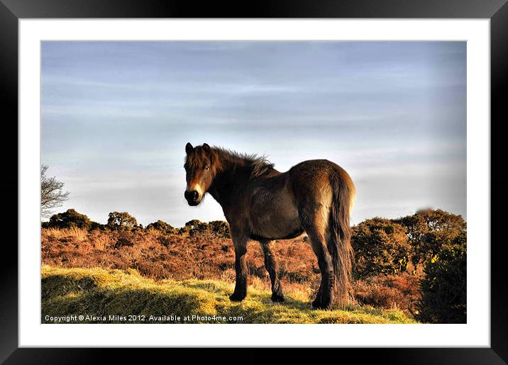 Exmoor Beauty Framed Mounted Print by Alexia Miles