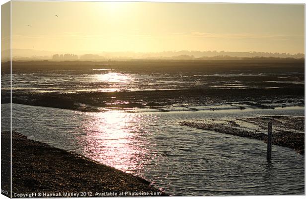 Rye Harbour Nature Reserve Canvas Print by Hannah Morley