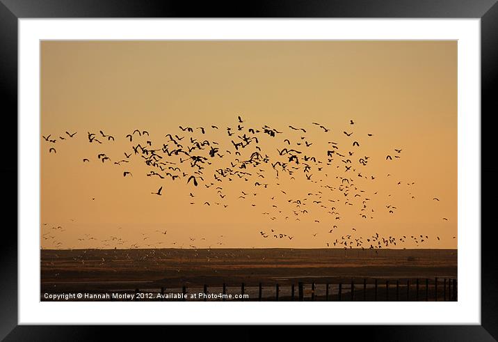 Rye Harbour Nature Reserve Framed Mounted Print by Hannah Morley