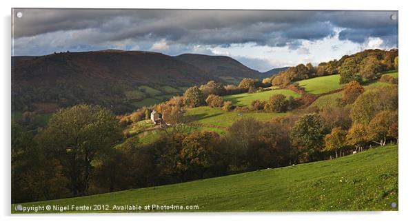 Cwmdu Autumn Landscape Acrylic by Creative Photography Wales