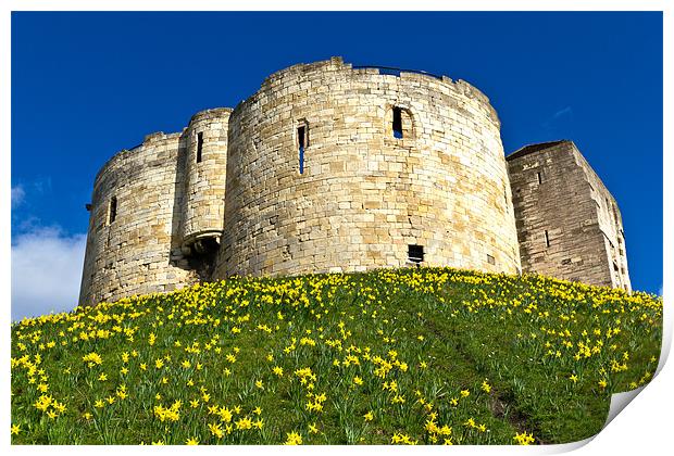 York Castle Print by Kevin Tate