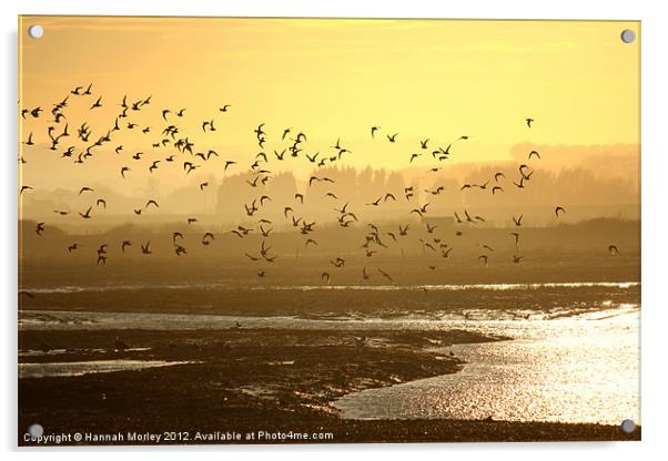 Rye Harbour Nature Reserve, Sunset Acrylic by Hannah Morley