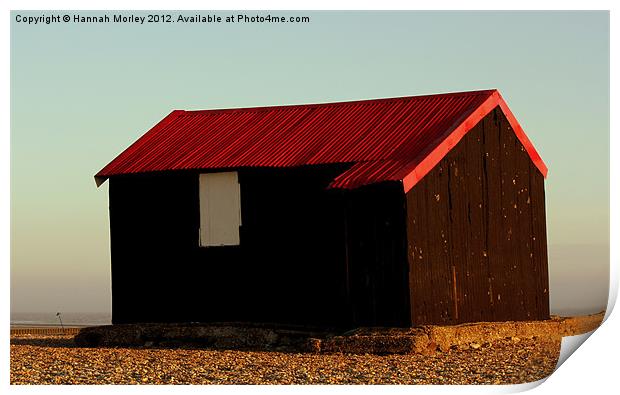 Lonely Beach Hut in Rye Print by Hannah Morley