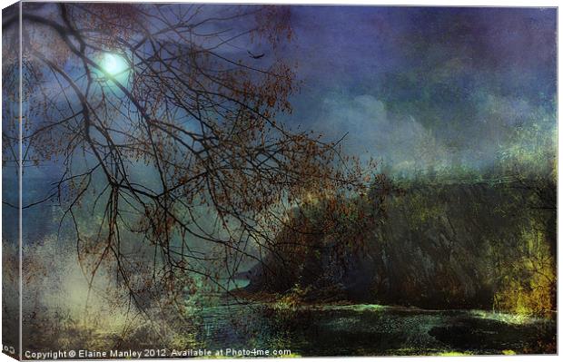 Moonlight on the Coast Canvas Print by Elaine Manley