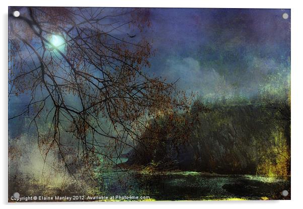 Moonlight on the Coast Acrylic by Elaine Manley