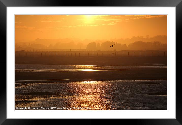 Rye Harbour Nature Reserve, Sunset Framed Mounted Print by Hannah Morley