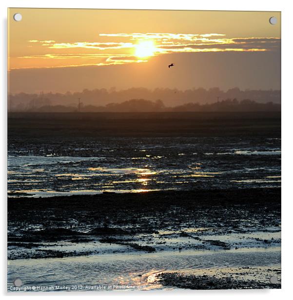 Rye Harbour Nature Reserve, Sunset Acrylic by Hannah Morley
