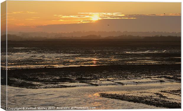 Rye Harbour Nature Reserve, Sunset Canvas Print by Hannah Morley