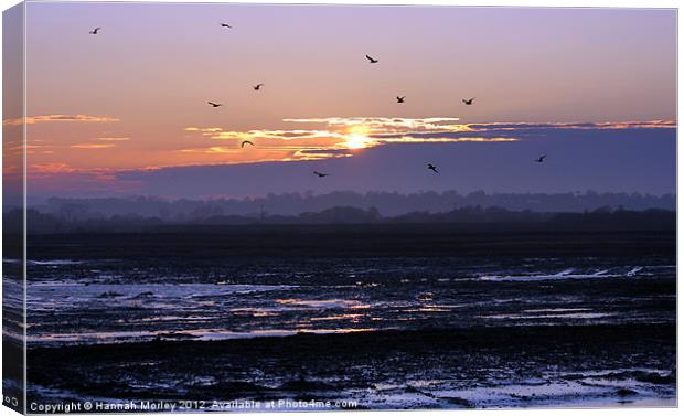 Rye Nature Reserve Sunset Canvas Print by Hannah Morley