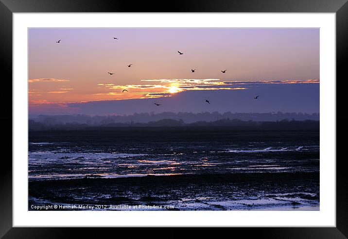 Rye Nature Reserve Sunset Framed Mounted Print by Hannah Morley