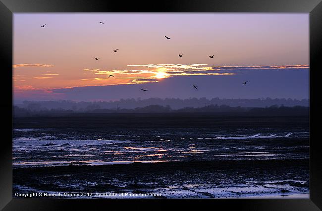 Rye Nature Reserve Sunset Framed Print by Hannah Morley