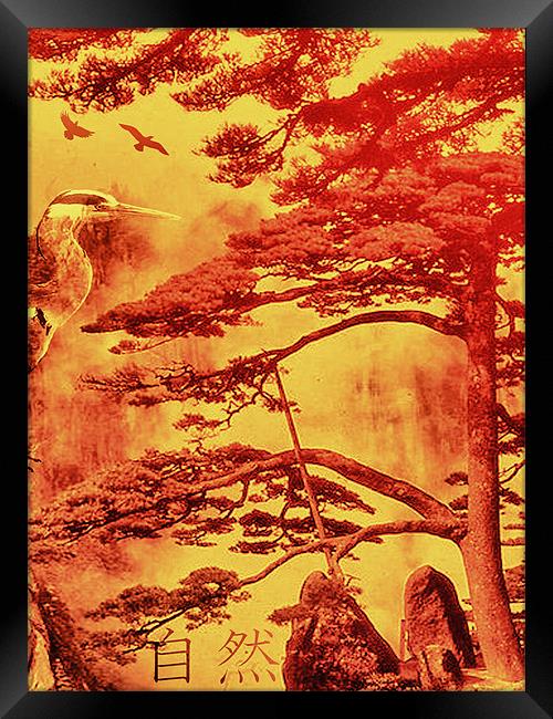 Tranquility of Nature Framed Print by John Ellis