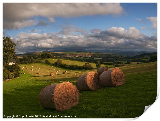 Painscastle summer evening Print by Creative Photography Wales