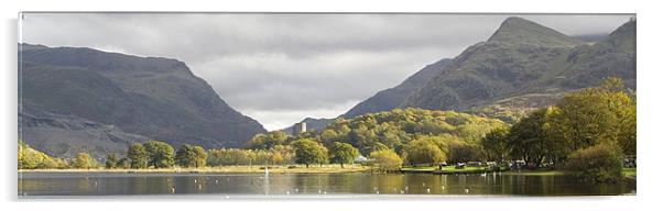 Dolbadarn Castle Acrylic by Simone Williams