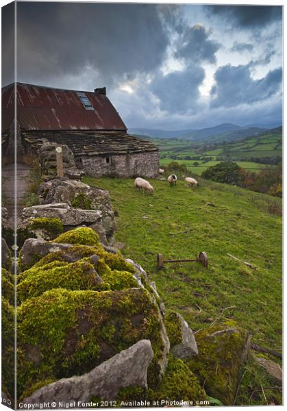 The Farmyard at Cwmdu Canvas Print by Creative Photography Wales