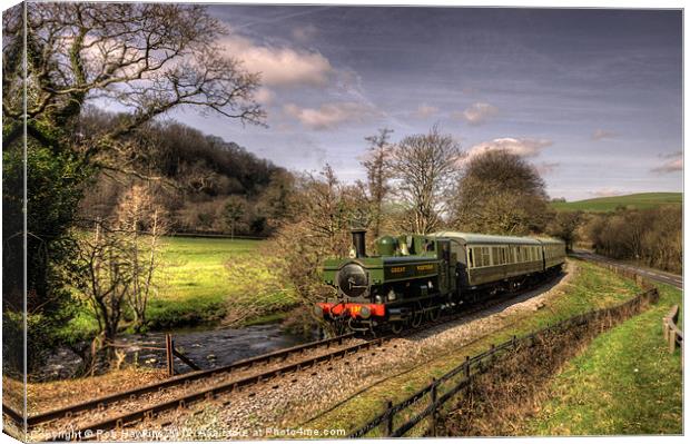 Pannier Tank on the Dart Valley Canvas Print by Rob Hawkins
