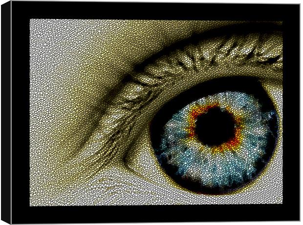 mosaic eye Canvas Print by Heather Newton