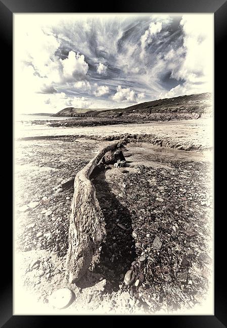 Driftwood Framed Print by Steve Purnell