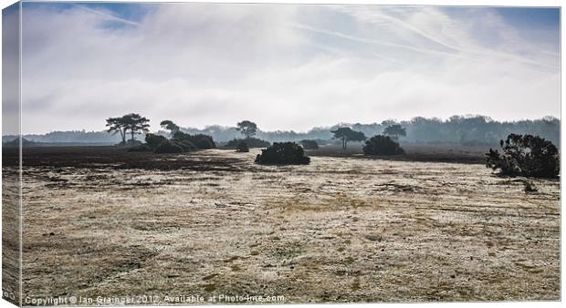 New Forest Panorama Canvas Print by Ian Grainger