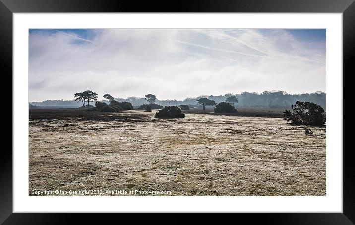 New Forest Panorama Framed Mounted Print by Ian Grainger