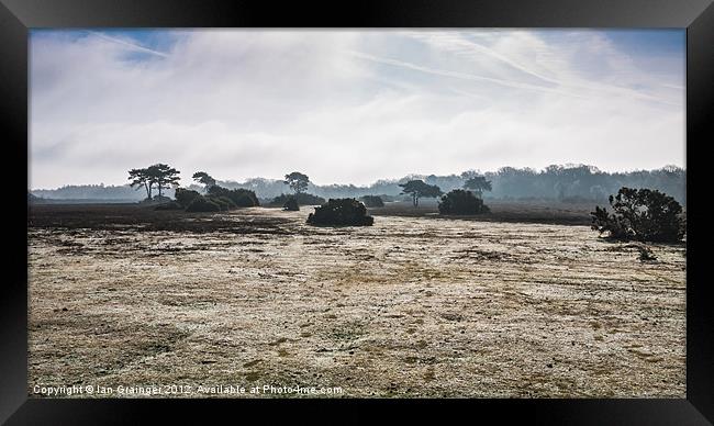 New Forest Panorama Framed Print by Ian Grainger