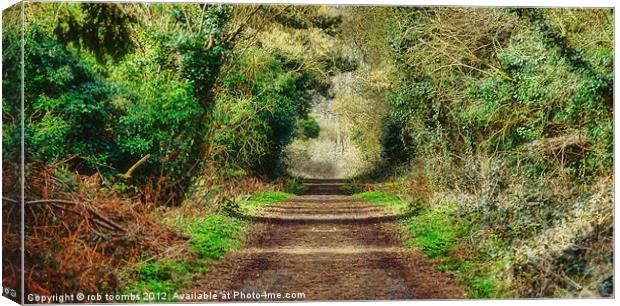 THE WOODLAND PATH Canvas Print by Rob Toombs