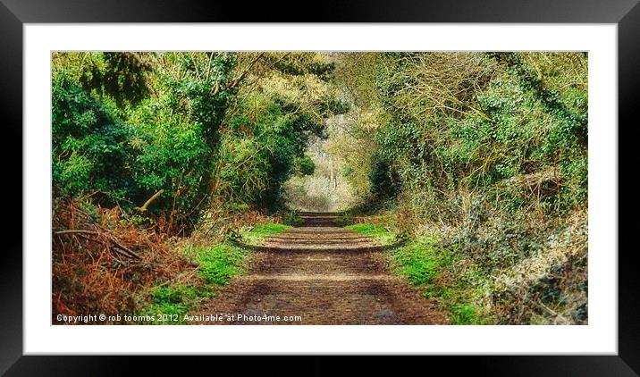 THE WOODLAND PATH Framed Mounted Print by Rob Toombs