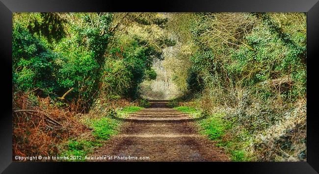 THE WOODLAND PATH Framed Print by Rob Toombs