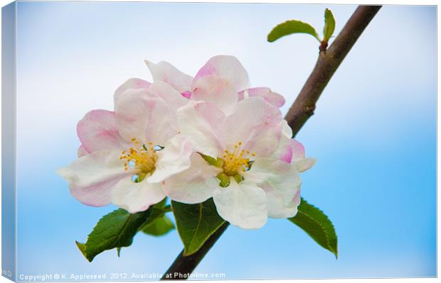 Apple Blossom in Summertime. Canvas Print by K. Appleseed.