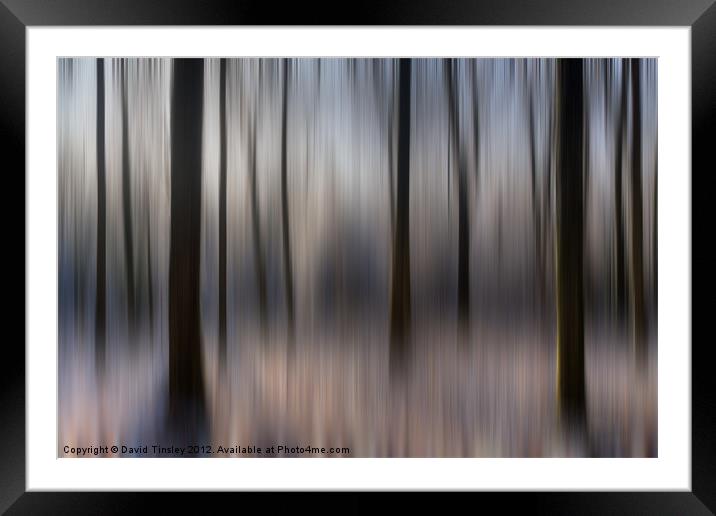 Winter Beech Woods Framed Mounted Print by David Tinsley