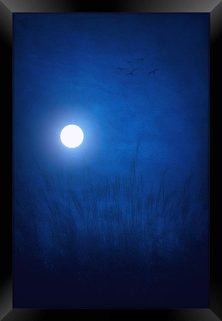 SKY BLUE Framed Print by Tom York