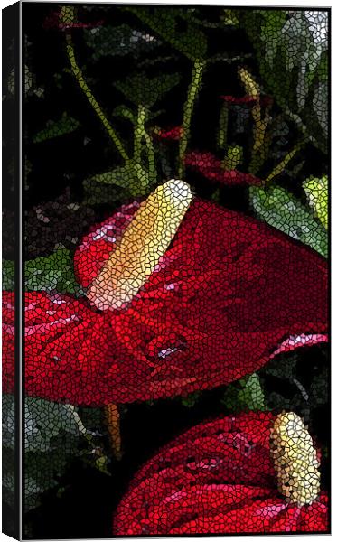 tiled anthuriums Canvas Print by Heather Newton