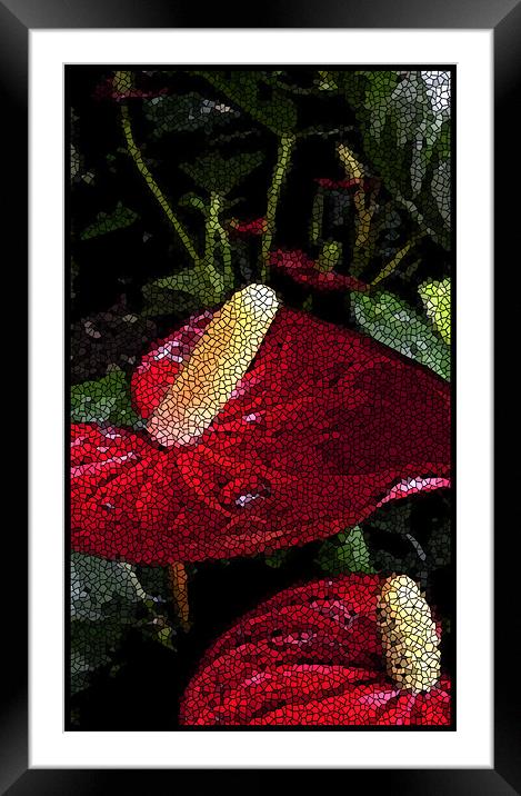 tiled anthuriums Framed Mounted Print by Heather Newton