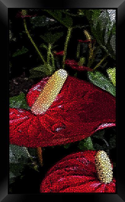 tiled anthuriums Framed Print by Heather Newton