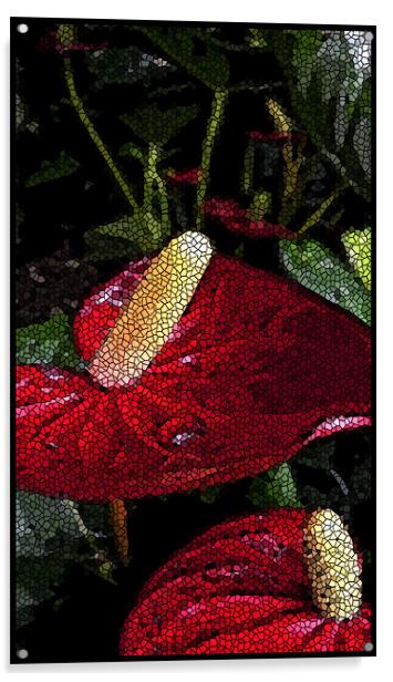 tiled anthuriums Acrylic by Heather Newton