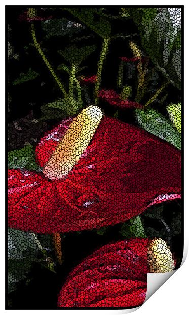 tiled anthuriums Print by Heather Newton