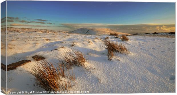 Fan Nedd Snowscape Canvas Print by Creative Photography Wales