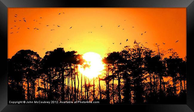 Home to Roost Framed Print by John McCoubrey