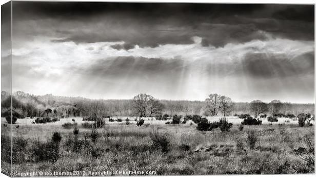 THE BARMING PLAINS Canvas Print by Rob Toombs